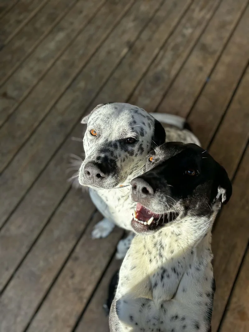 Gumsstanford  Ky thumbnail 2