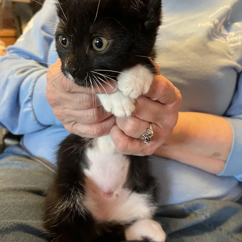 Ooky Spooky thumbnail 4