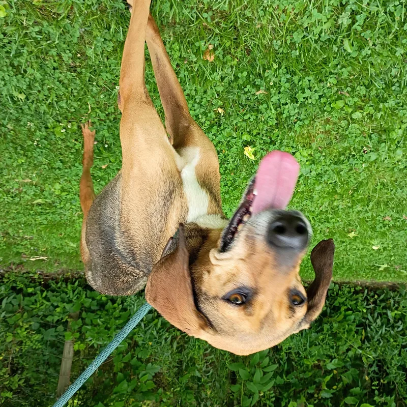 Daisy May thumbnail 2