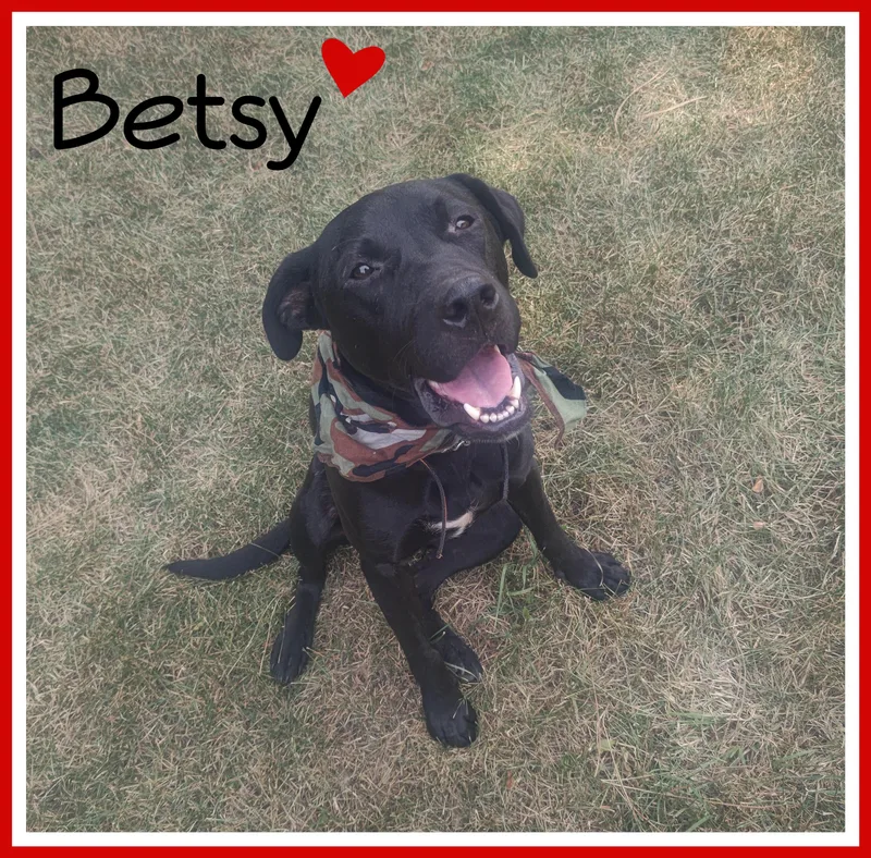 Betsy thumbnail 3