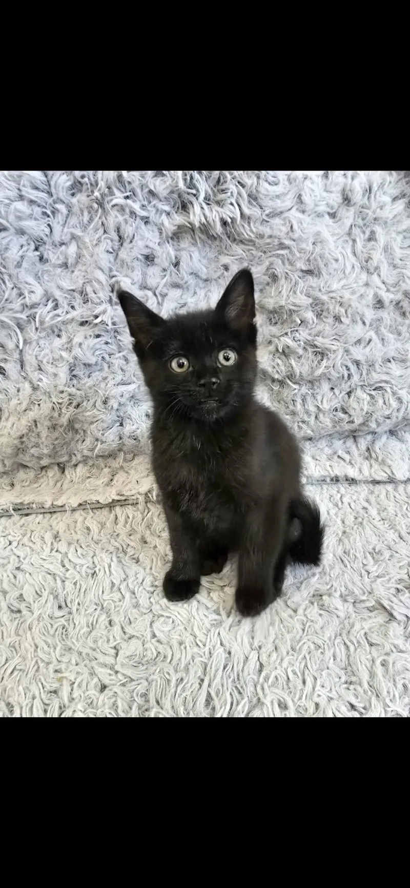 Sokka