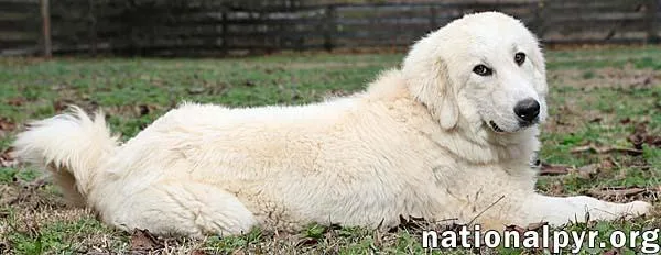 Luna In Nj  thumbnail 2