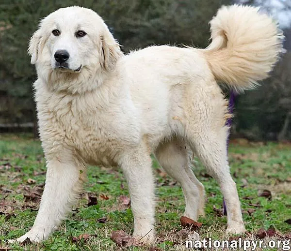 Luna In Nj  thumbnail 3