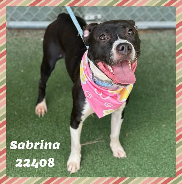 SABRINA see also MIRA thumbnail 5