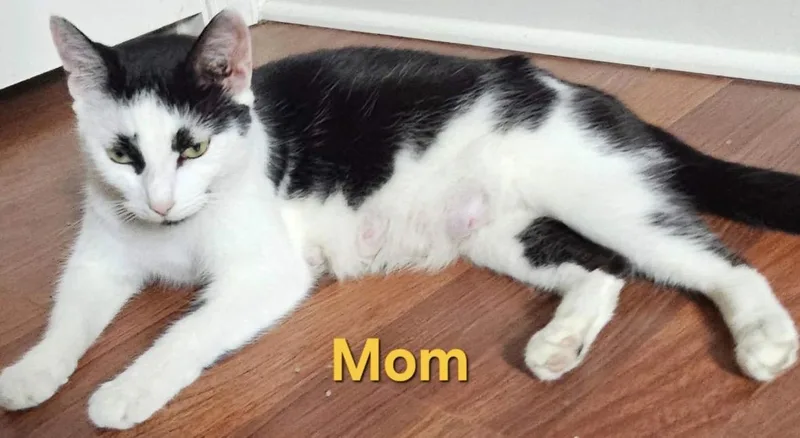 Mom thumbnail 2