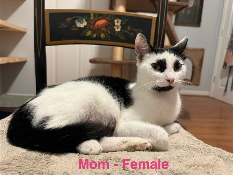 Mom thumbnail 4