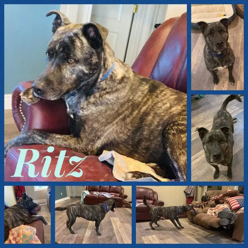 Ritz
