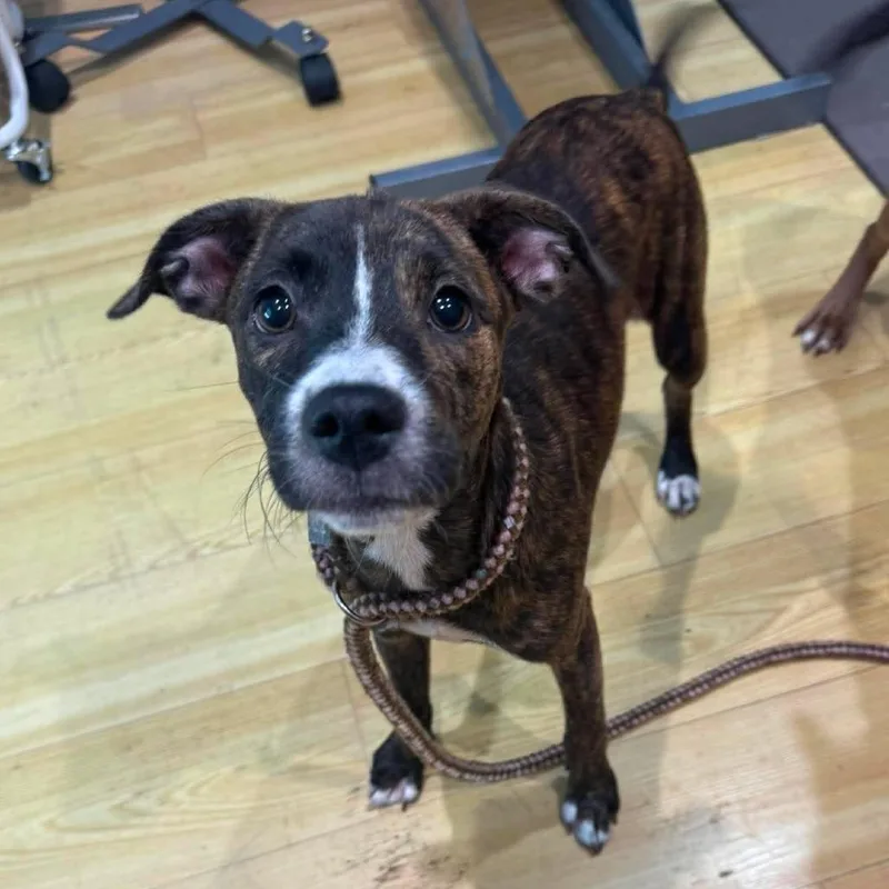 Winnie