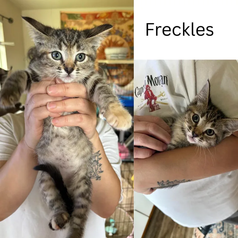 Freckles thumbnail 4