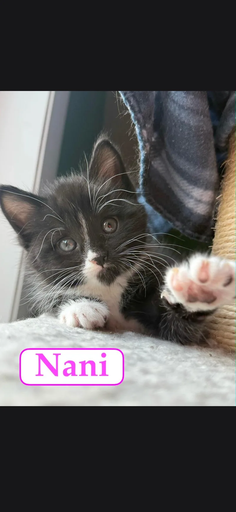 Nani