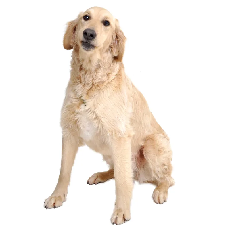 Maybelline thumbnail 2