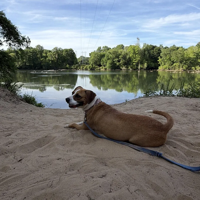 Porsche thumbnail 5