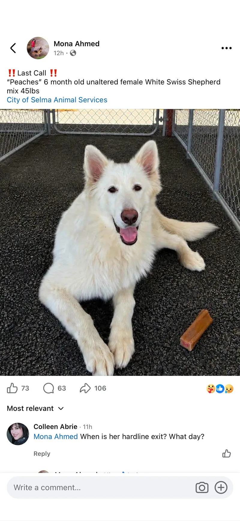 Nymeria thumbnail 3