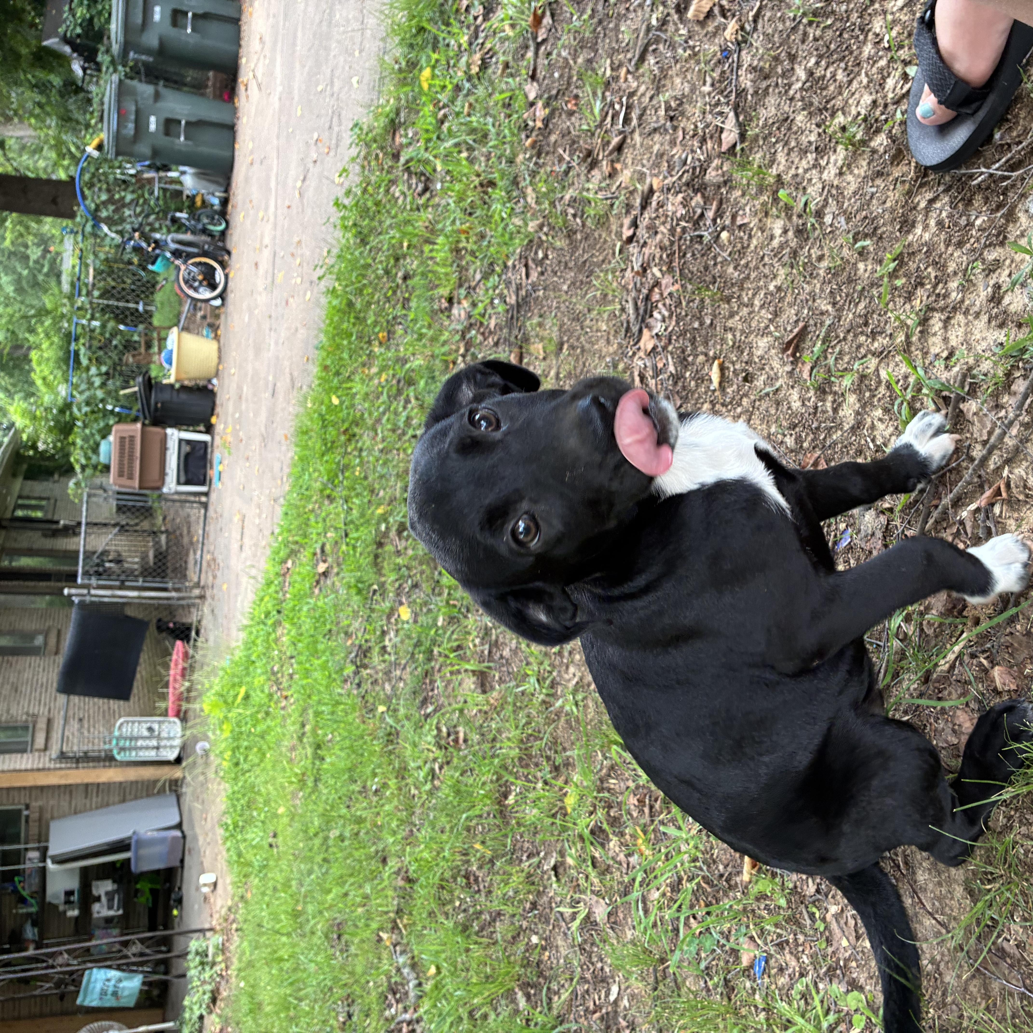 Wally thumbnail 2