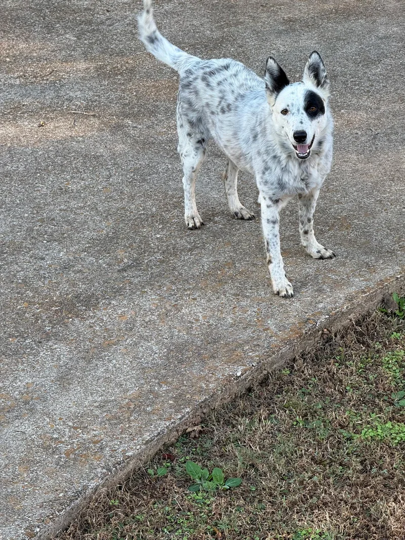 Maggie Mae thumbnail 3