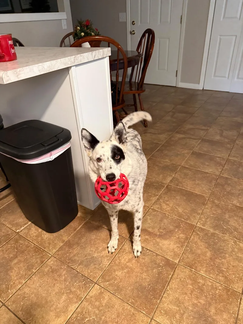 Maggie Mae thumbnail 4