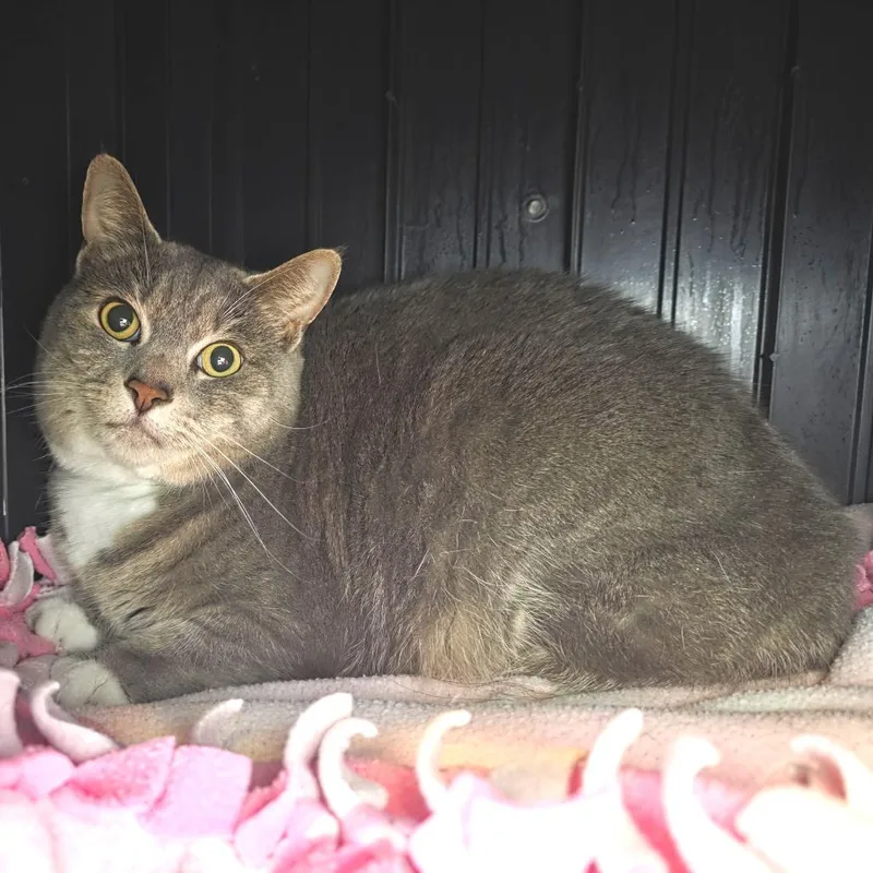 Skittles thumbnail 3