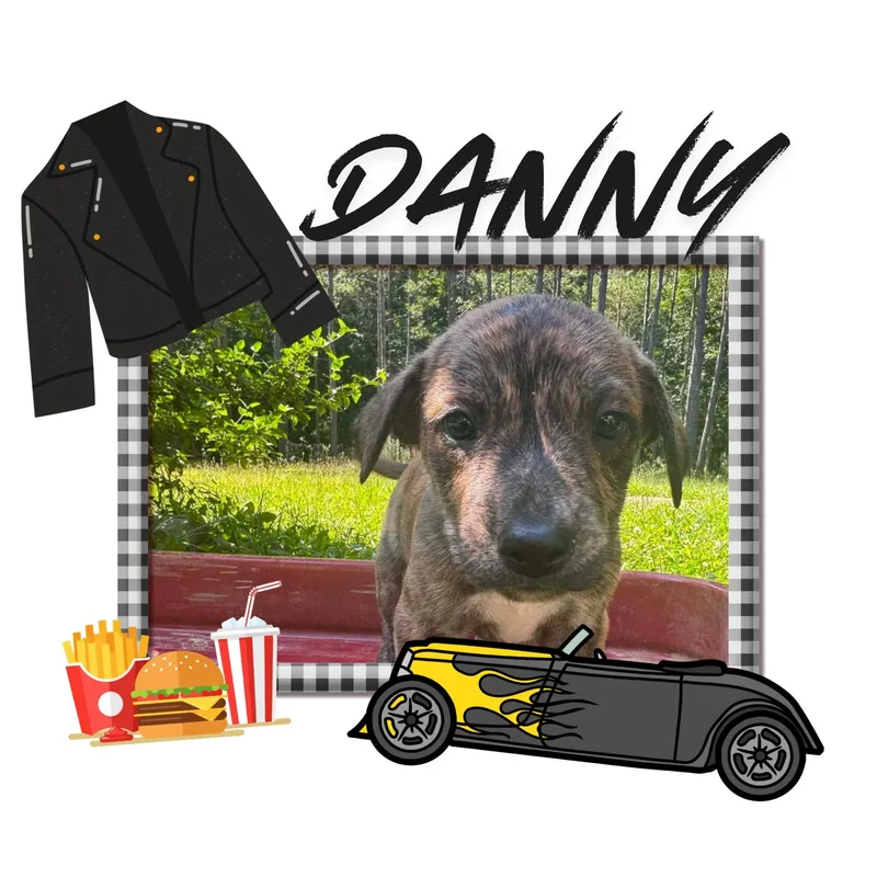 Danny thumbnail 2