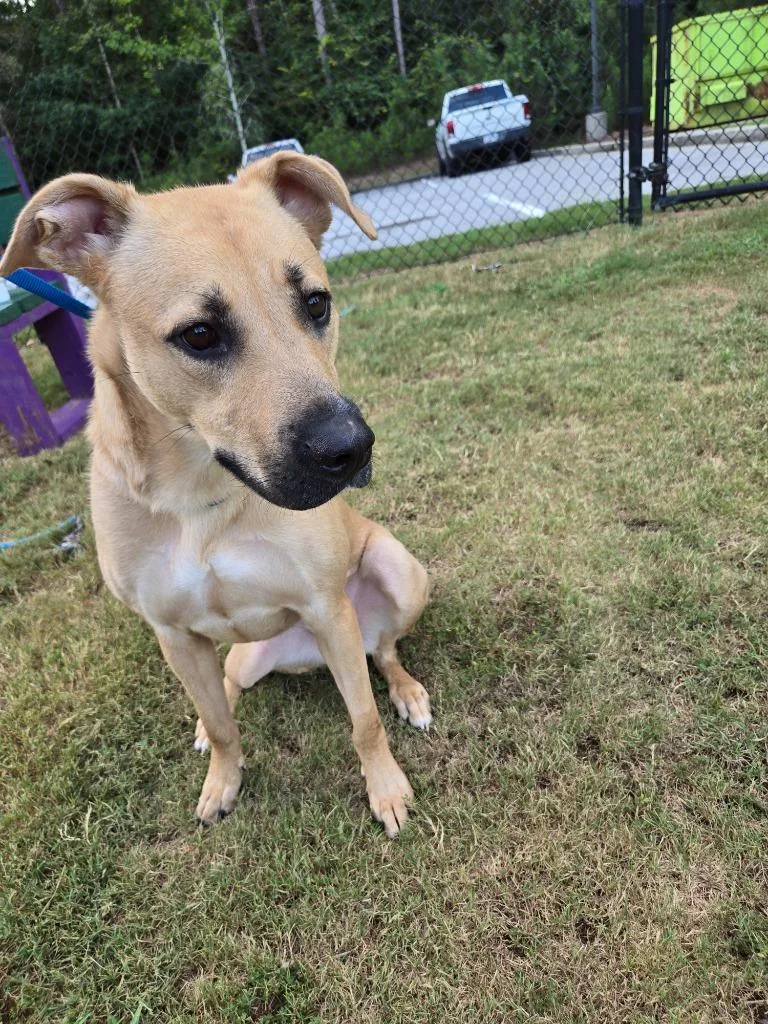 Nala thumbnail 2