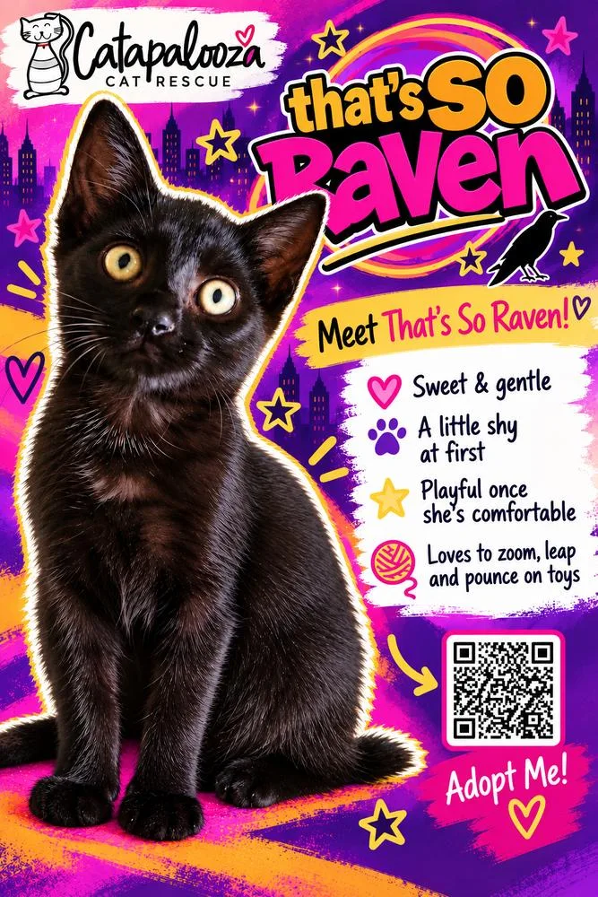 That’s So Raven thumbnail 2