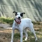 Sadie thumbnail 5