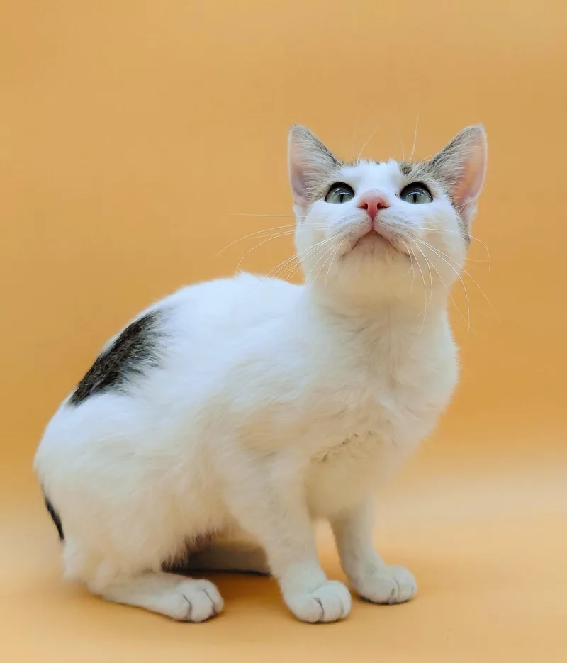 Mamacita thumbnail 2