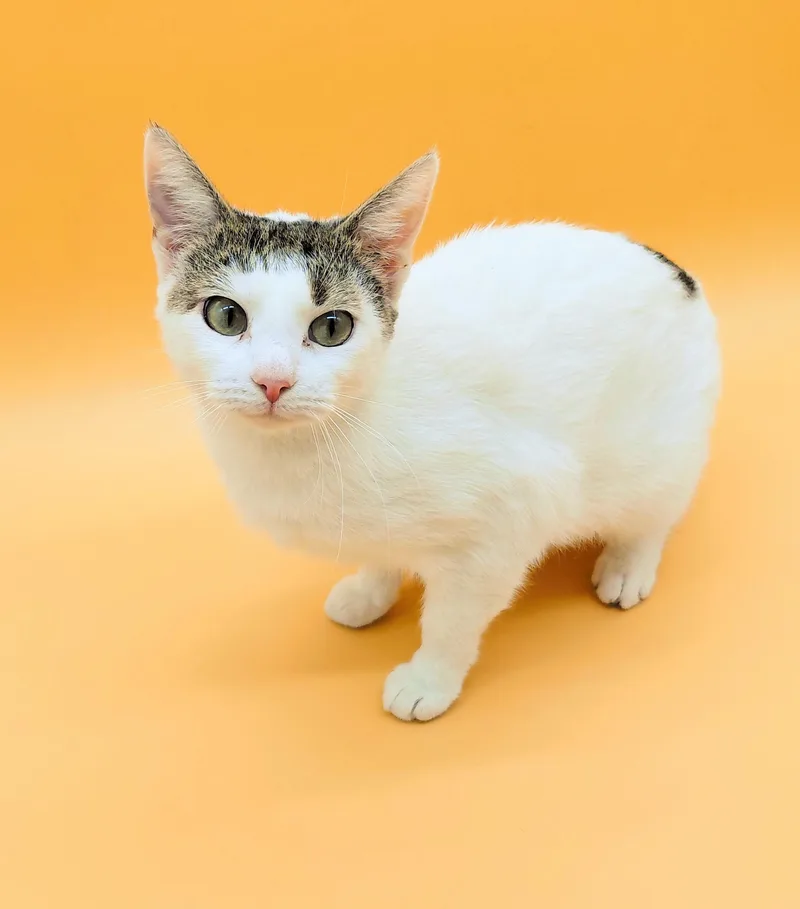 Mamacita thumbnail 3