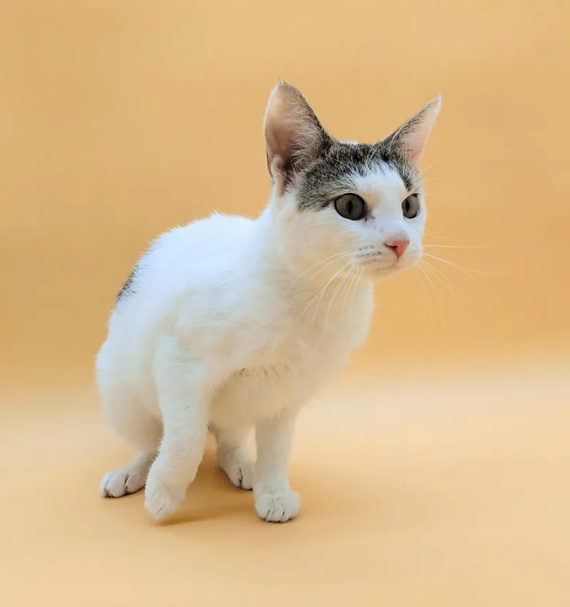 Mamacita thumbnail 4