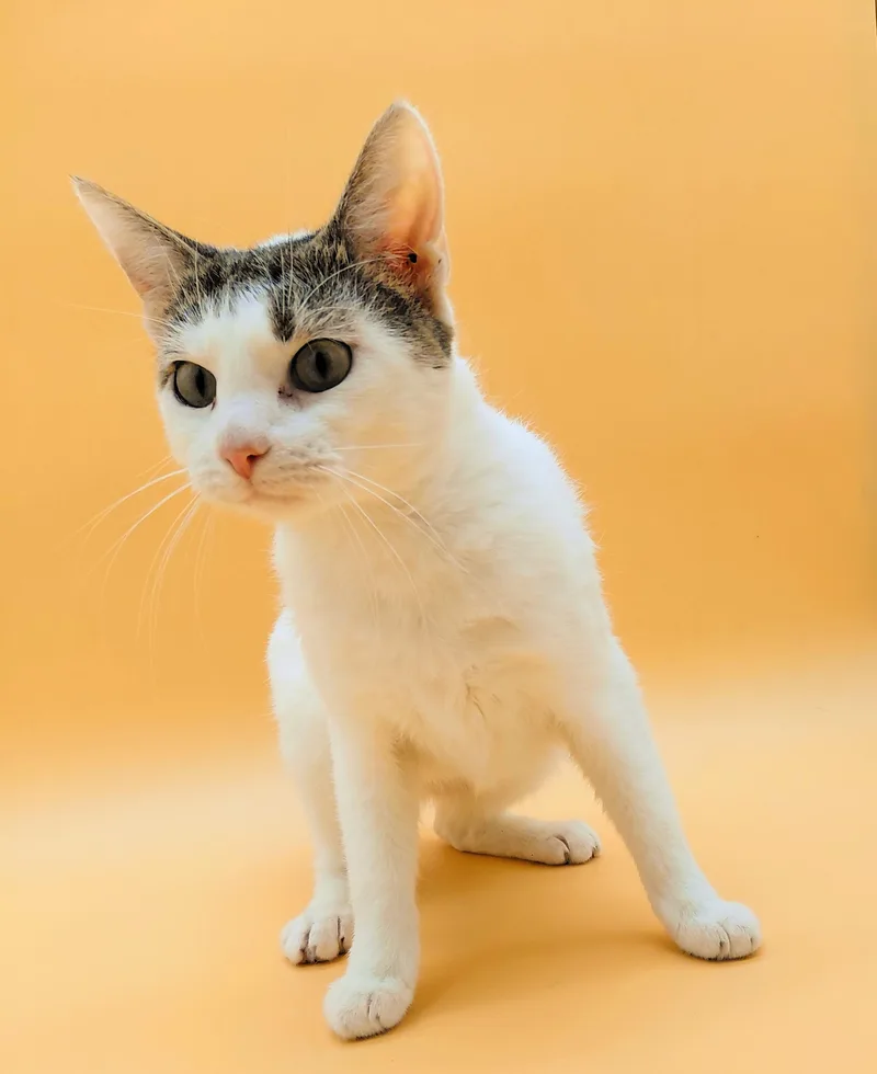 Mamacita thumbnail 5