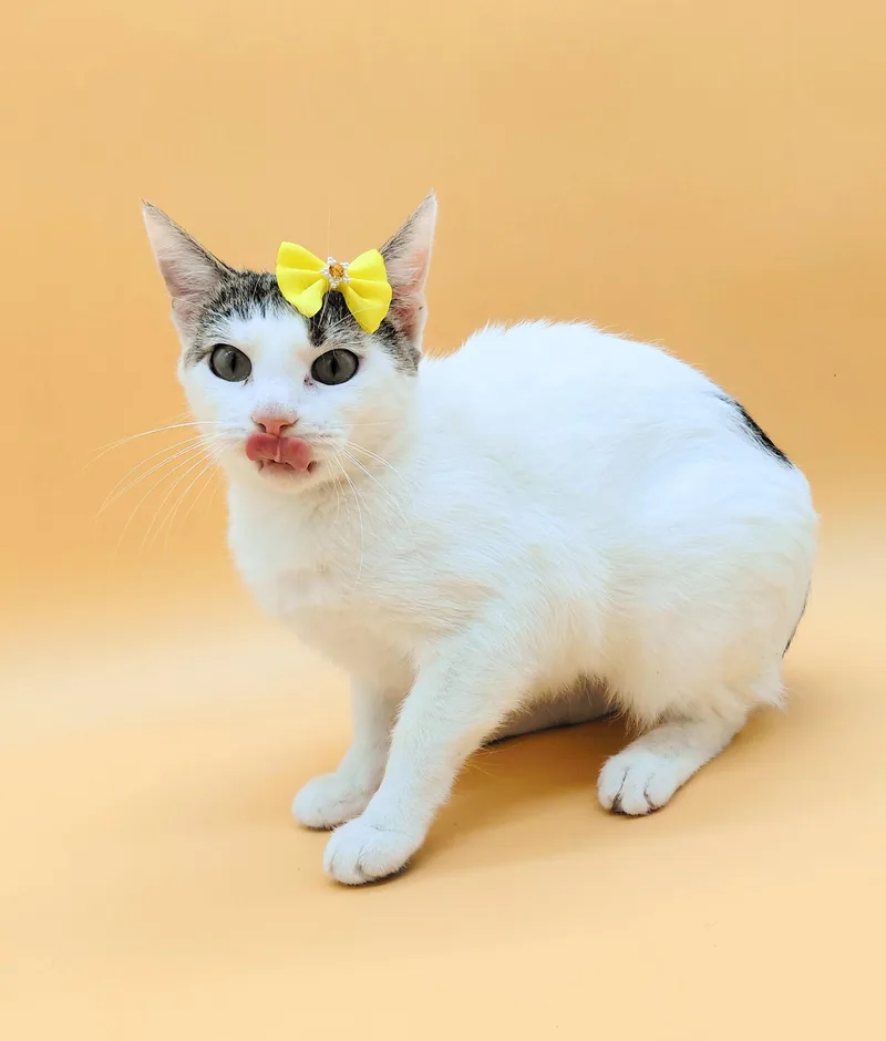 Mamacita thumbnail 6