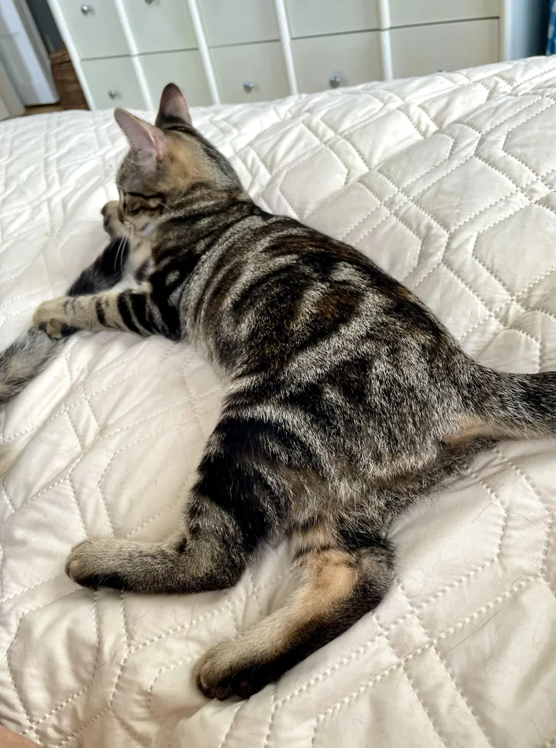Eloise