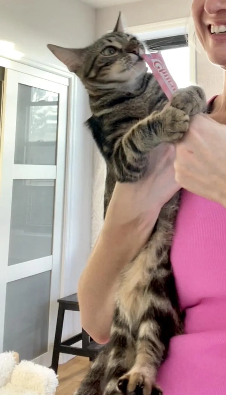 Eloise thumbnail 4