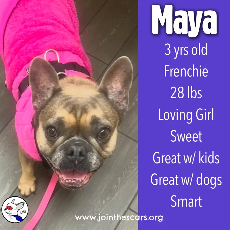 Maya