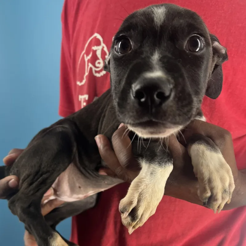 Blanca  Local April thumbnail 2