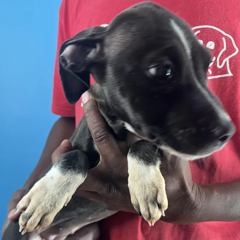 Blanca  Local April thumbnail 3