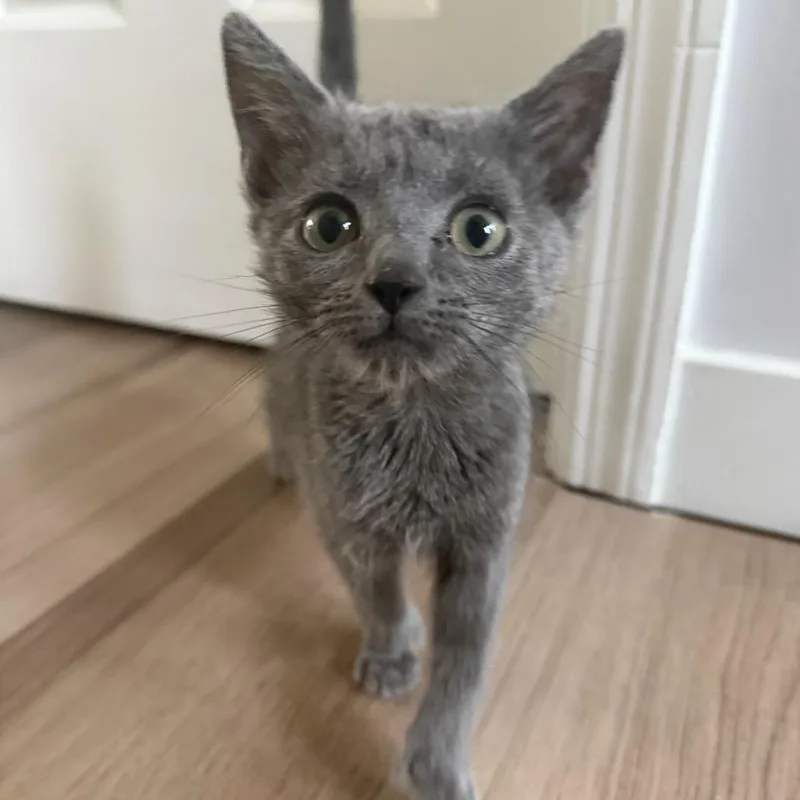 Eleanor