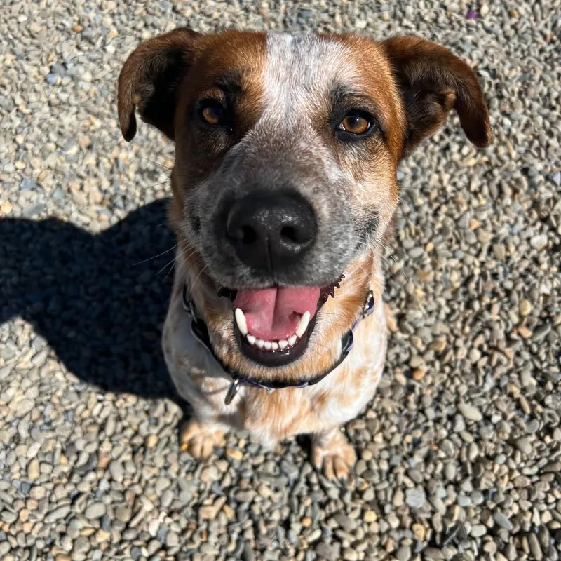 Steve Irwin thumbnail 3