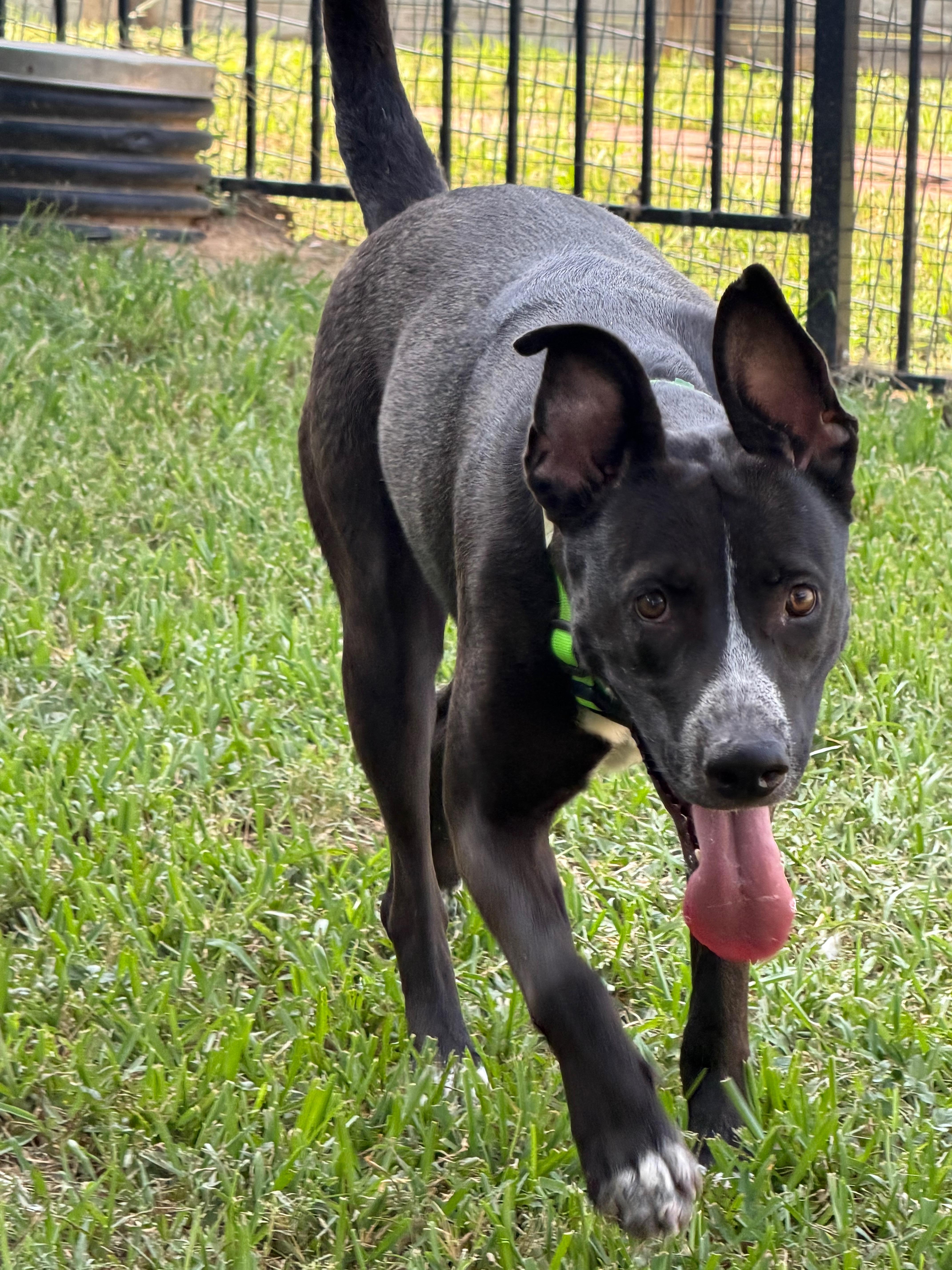 Leia Belle thumbnail 3