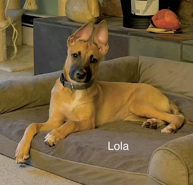 Lola