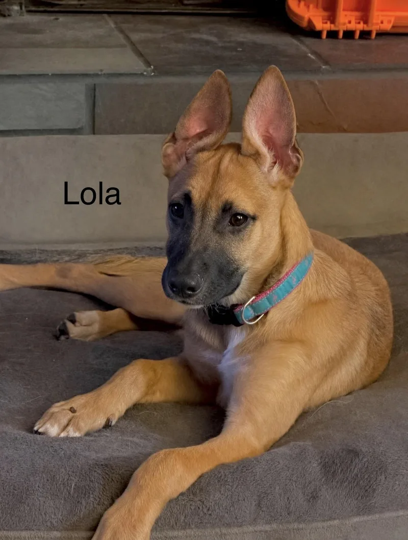 Lola thumbnail 3