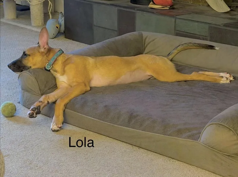 Lola thumbnail 4