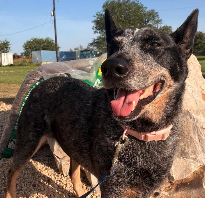 Maddy thumbnail 3