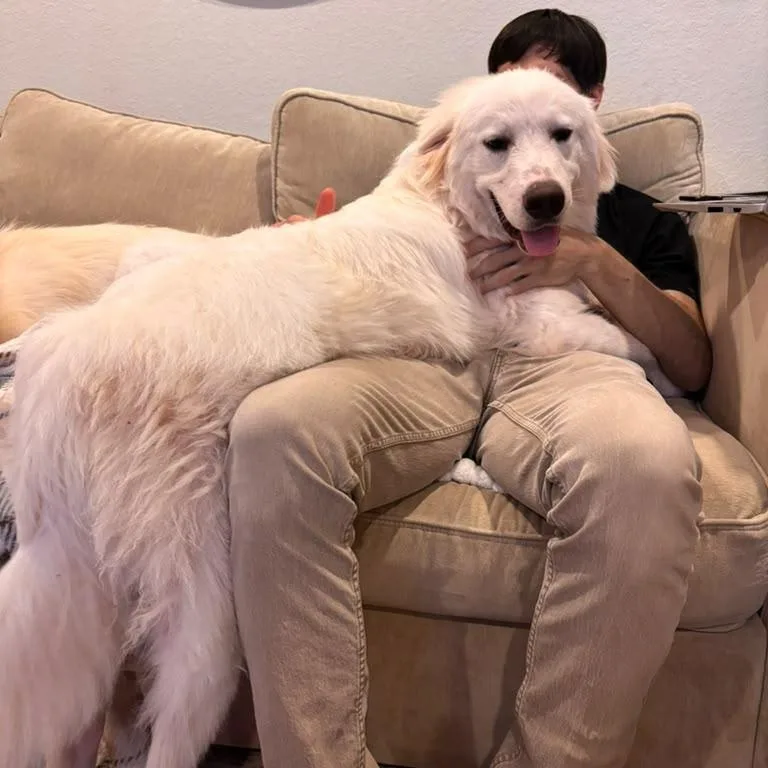 Shiloh thumbnail 3