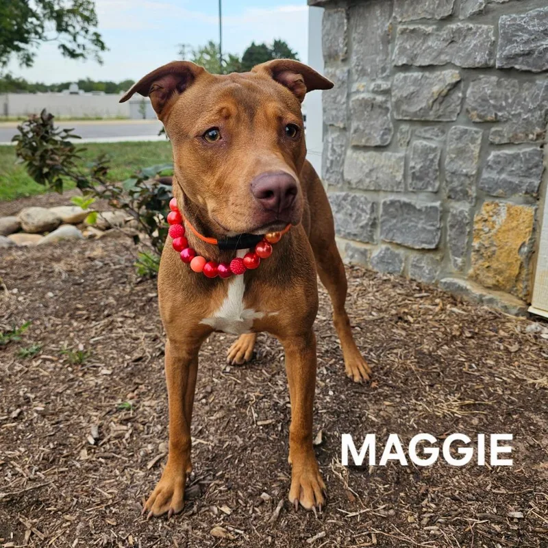 Maggie thumbnail 2