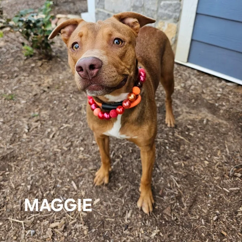 Maggie thumbnail 3
