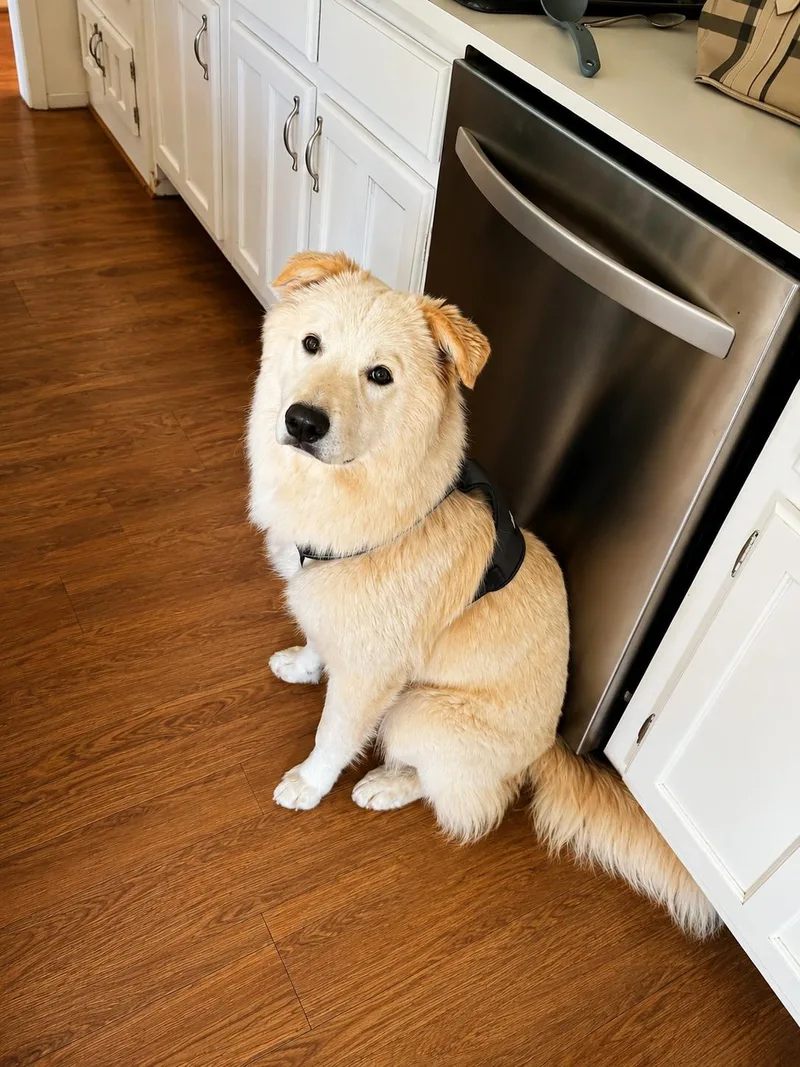 Buster thumbnail 5