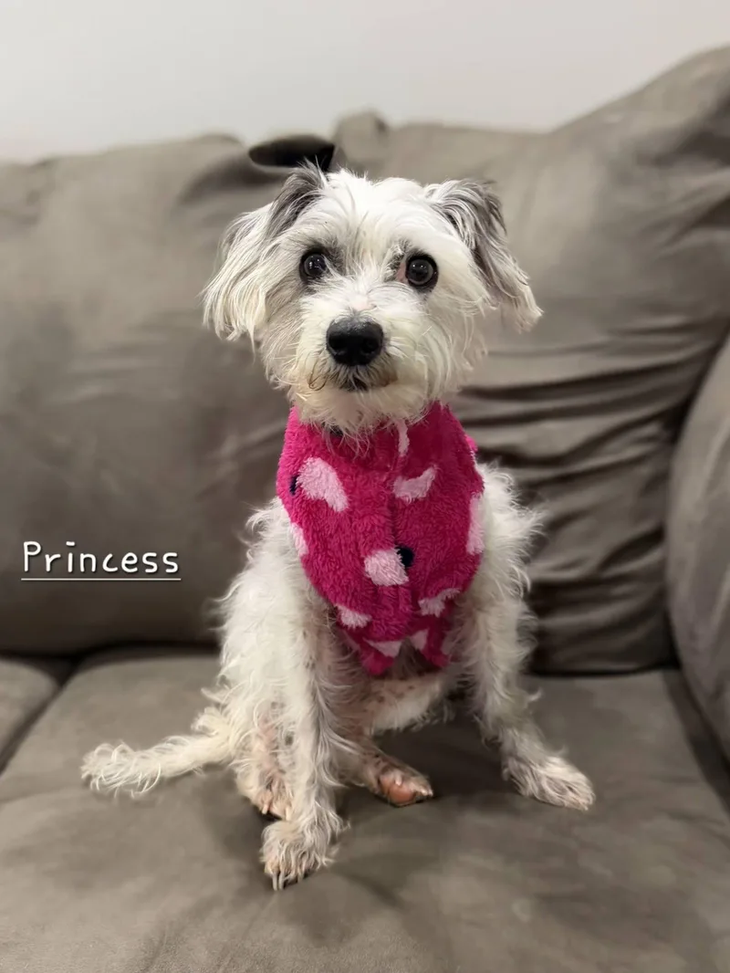 Princess