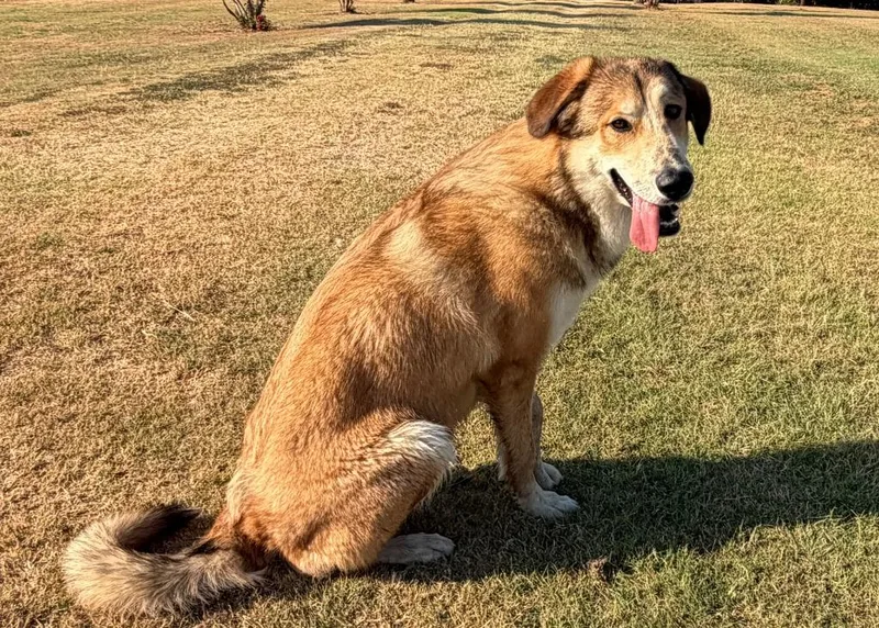 Leroy