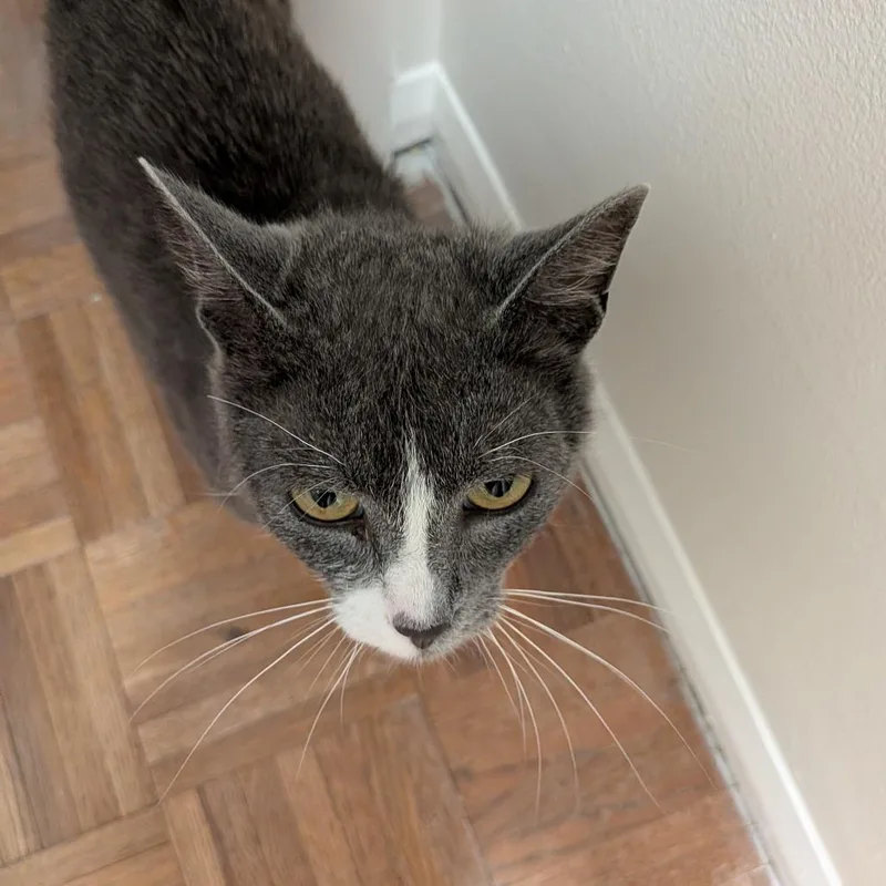 Sneakers thumbnail 2