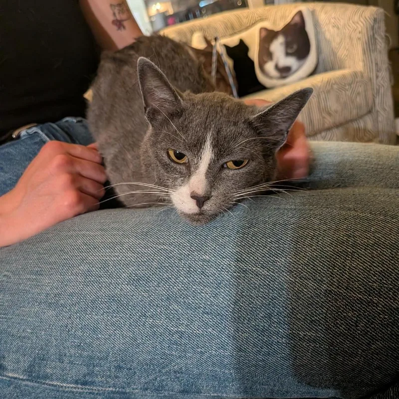 Sneakers thumbnail 3